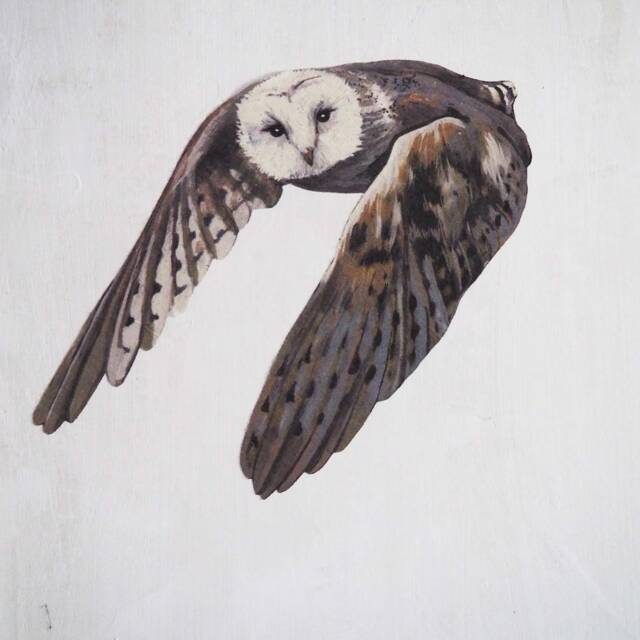 Owl Sticker, Large Night Bird Wall Decal - image 1