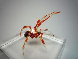 Spider Animals Glass, Art Blown Sculpture Made Of Blown Glass Figurine
