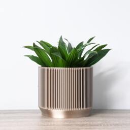 Mid-Century Modern Planter With Drainage & Saucer in Shiny Bronze, Unique 3D-Printed Plant Pot, Small To Large Sizes, Perfect Gift - thumbnail 3