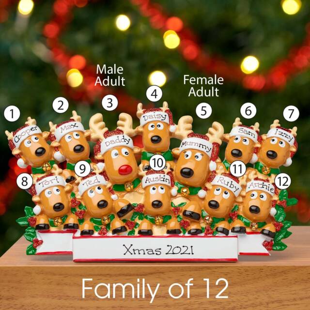 Personalised Family Christmas Xmas Decoration - Reindeer Table Top - image 1