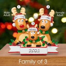 Personalised Family Christmas Xmas Decoration - Reindeer Table Top - thumbnail 4