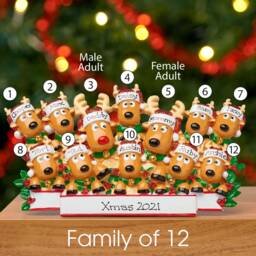 Personalised Family Christmas Xmas Decoration - Reindeer Table Top