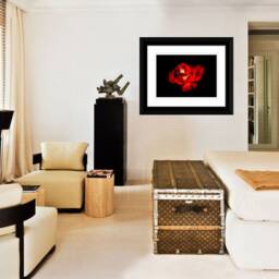 Instant Download Beautiful Red Rose Wall Art, Decor, Nature Flower Photos Of Roses - thumbnail 3