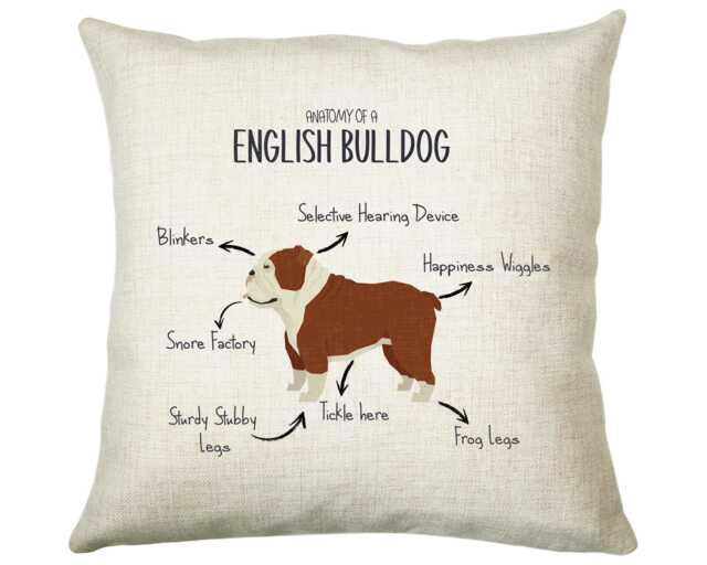 Anatomy Of A English Bulldog Funny Gift For Him Or Her Cushion Pillow Bedroom Decor Cs414 - image 1