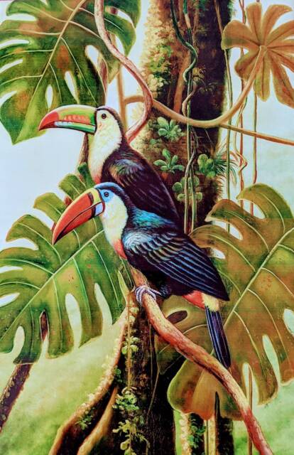 "Toucan Bird Ceramic Wall Art Tile, 8"" By 12" - image 1
