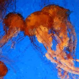 Jellyfish Canvas Print Ocean Life Wall Art - thumbnail 4