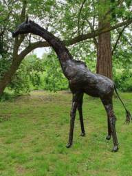 9Ft Recycled Metal Giraffe Garden Sculpture, Statue, Ornament - thumbnail 1