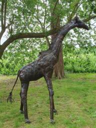 9Ft Recycled Metal Giraffe Garden Sculpture, Statue, Ornament - thumbnail 2