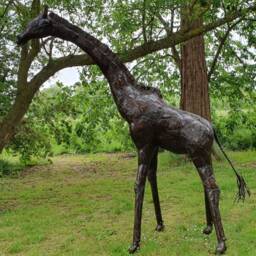 9Ft Recycled Metal Giraffe Garden Sculpture, Statue, Ornament - thumbnail 3