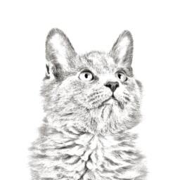 Nebelung - Wooden Stand For Candles/Pens With The Image Of A Cat New Collection - thumbnail 2