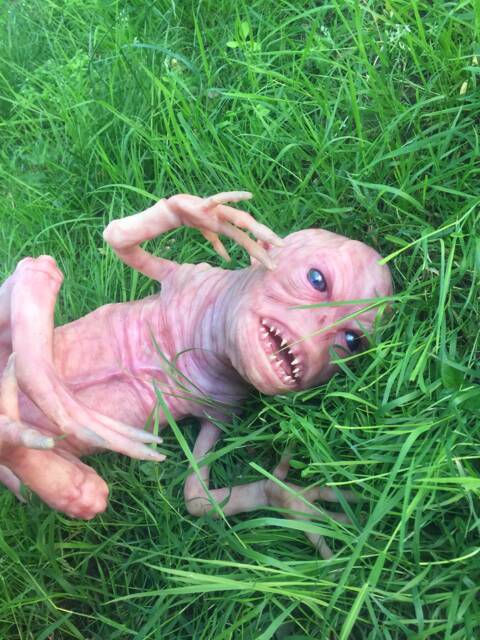"Hand-Carved Platinum Silicone ""Sceng?? Baby Alieno" - image 1