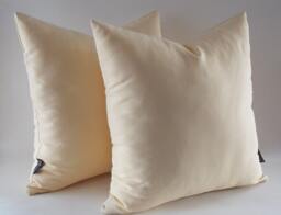 Set Of 2 Straw Yellow Cotton Canvas Throw Pillow Covers - thumbnail 1