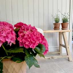 Rustic Wooden Bench - thumbnail 3