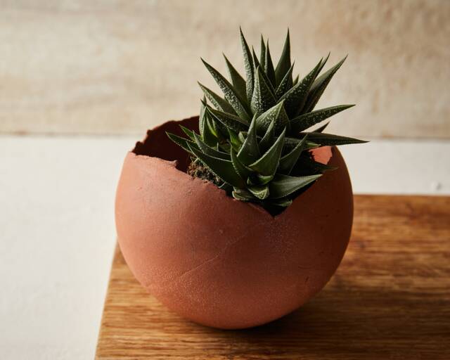 Large Terracotta Ceramic Planter Pot For Indoor, Succulent Planter, Egg Shape Pot, Rustic Modern Pottery Round Cacti - image 1
