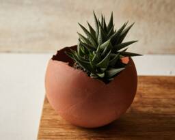 Large Terracotta Ceramic Planter Pot For Indoor, Succulent Planter, Egg Shape Pot, Rustic Modern Pottery Round Cacti - thumbnail 1