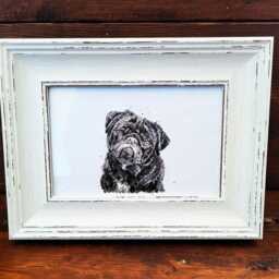 Pug Print 17x12cm - White Rustic Frame - Wrinkly Dog Wall Art, Gift For Owners - thumbnail 3