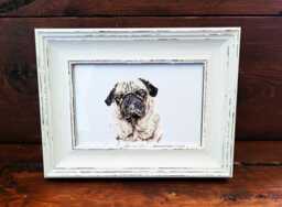 Pug Print 17x12cm - White Rustic Frame - Wrinkly Dog Wall Art, Gift For Owners - thumbnail 1