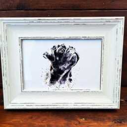 Pug Print 17x12cm - White Rustic Frame - Wrinkly Dog Wall Art, Gift For Owners - thumbnail 2