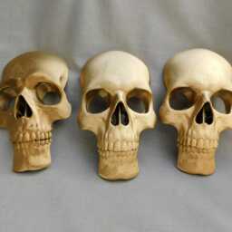 Gold Human Skull Replicas, Set Of 3 Full Size With Lower Jaws, 3D Printed - thumbnail 2