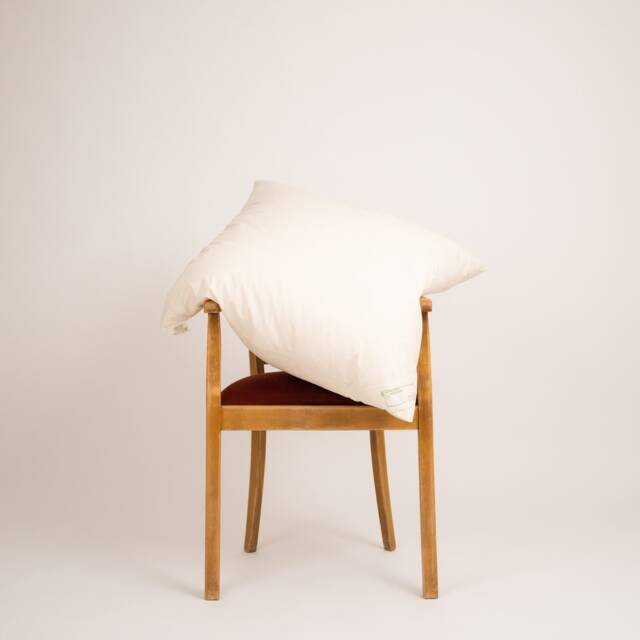 Pillow, Down Pillow, Feather Pillow 80 X cm Organic - image 1