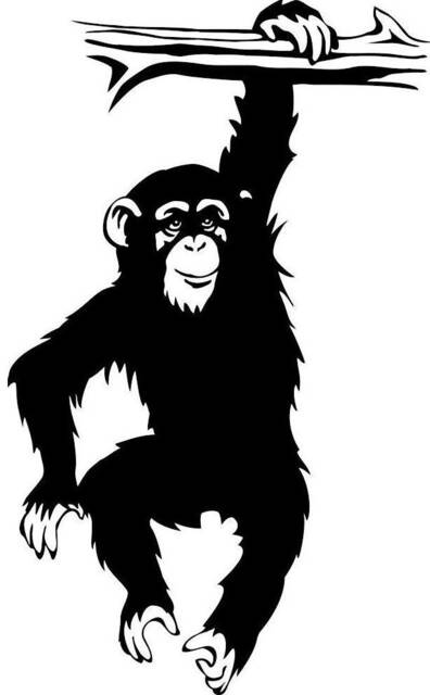 Cheeky Monkey Decal Wall Art Car Bonnet Side Sticker Camper Van Vw Surfing Surf Vinyl Swinging