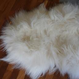 "Giant Double White Icelandic Sheepskin Rug, Genuine Leather Wool Carpet, Cozy Throw - 79"" X 36" - thumbnail 4
