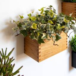 Magnetic Oak Wood Planter Box Joint Herb & Flower Pot - thumbnail 3