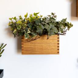 Magnetic Oak Wood Planter Box Joint Herb & Flower Pot - thumbnail 2