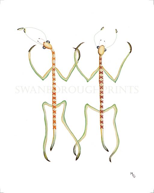 stick Insect Gicl??e Art Print, Entomology Illustration - image 1