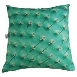 Pillow Cactus Cover Velvet 18 X18 Inches Invisible Zipper Very Soft Touch - thumbnail 4