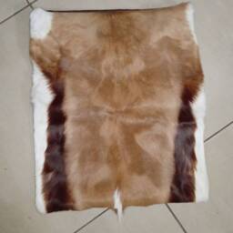 Springbok Leather Cushion, Handmade African Decor Pillow - thumbnail 2