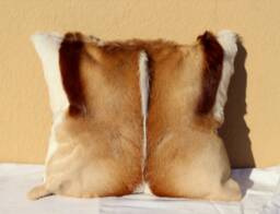 Springbok Leather Cushion, Handmade African Decor Pillow