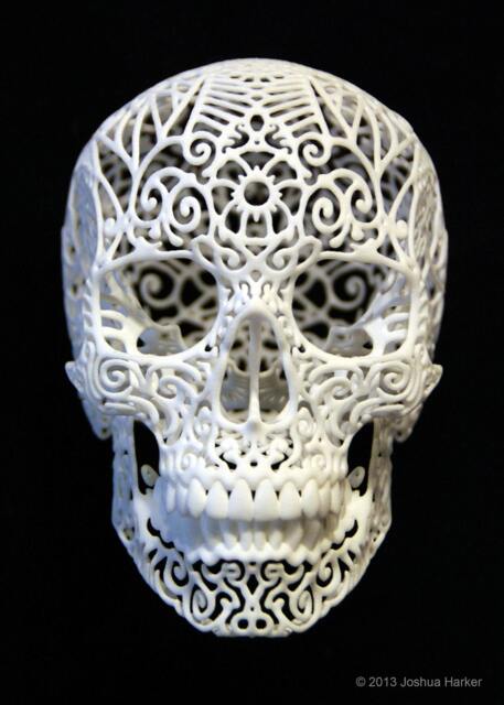 "Skull Sculpture ""Crania Revolutis" - image 1