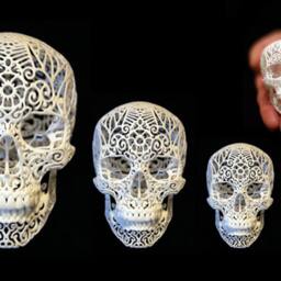 "Skull Sculpture ""Crania Revolutis" - thumbnail 2