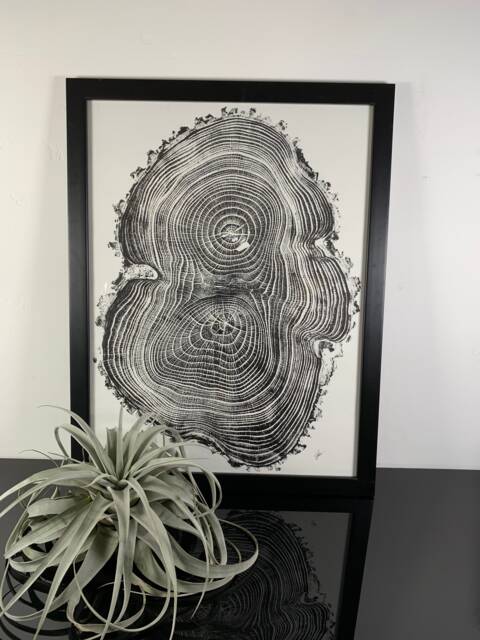 Ash Wood Tree Ring Wall Art Handmade Original Signed Piece - image 1
