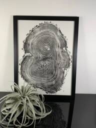 Ash Wood Tree Ring Wall Art Handmade Original Signed Piece - thumbnail 1