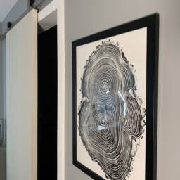 Ash Wood Tree Ring Wall Art Handmade Original Signed Piece - thumbnail 3