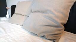 Natural Linen Pillowcase, Soft Stonewashed Linen, Envelope Closure, Bedding, Pillow Cover