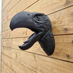 Brontornis Head Wall Art - Prehistoric Mount 3D Printed - thumbnail 3