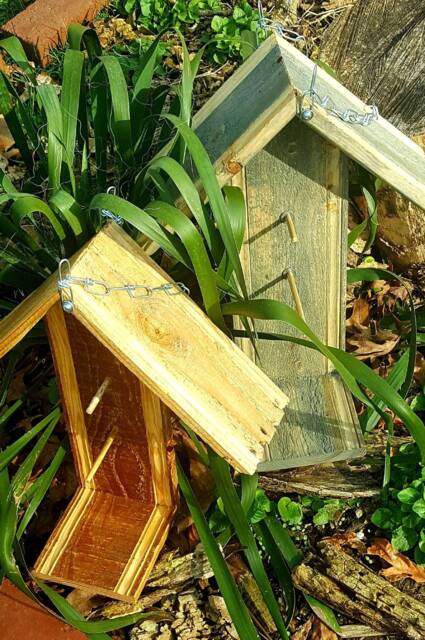 Wood Bird Feeder, Oriole Tanager Fruit & Jelly Feeders, Mother's Day Gift - image 1
