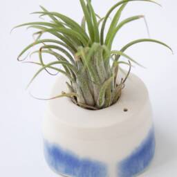 Mini Plant Hanger For Tillandsia - Air Plant. Cream With Dark Blue Decor. Minimalist Design - thumbnail 4