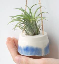 Mini Plant Hanger For Tillandsia - Air Plant. Cream With Dark Blue Decor. Minimalist Design - thumbnail 1