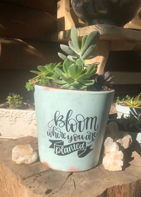 Bloom Where You're Planted Planter Pot, Chalk Painted Indoor Planter, Outdoor 7.5