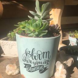 Bloom Where You're Planted Planter Pot, Chalk Painted Indoor Planter, Outdoor 7.5 - thumbnail 2
