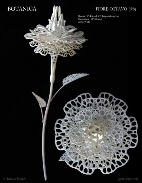 Fiore Ottavo - 3D Printed Filigree Flower By Joshua Harker
