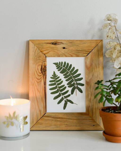 Christmas Fern - Print Reproduction Artwork Of Pressed Plants 100% Cotton Rag Paper Botanical Artwork, Greenery - image 1