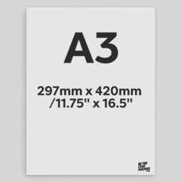 Lionesses Kelly 25/26 Home Headshot Poster - Officially Licensed Product A4/A3 Framed Options - thumbnail 3
