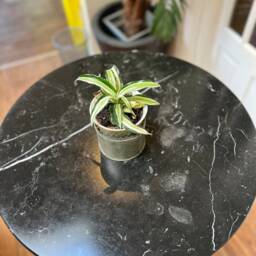 Granite Top & Cast Iron Coffee Patio Side Table - thumbnail 3