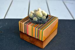 Recycled Skateboard & Oak Cactus Planter - Unique Desk Art - 80x80mm
