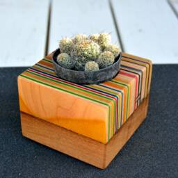 Recycled Skateboard & Oak Cactus Planter - Unique Desk Art - 80x80mm - thumbnail 3